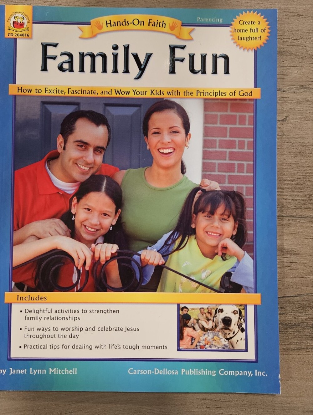 🛍 2/$6 🛍 Family Fun By Janet Lynn Mitchell